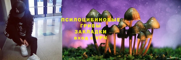 крисы Белокуриха