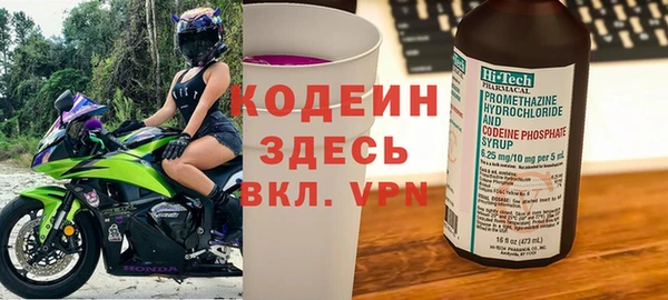 прущие грибы Беломорск