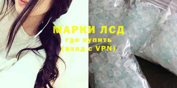 прущие грибы Беломорск