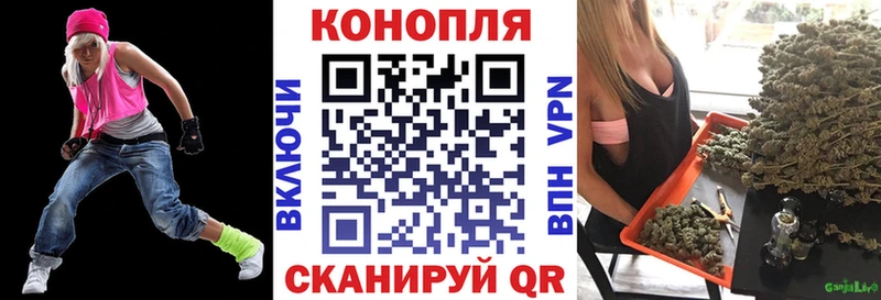 где можно купить наркотик  гидра зеркало  Канабис Amnesia  Стародуб 